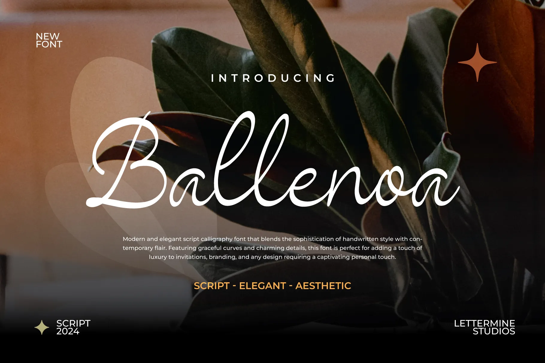 19. Ballenoa