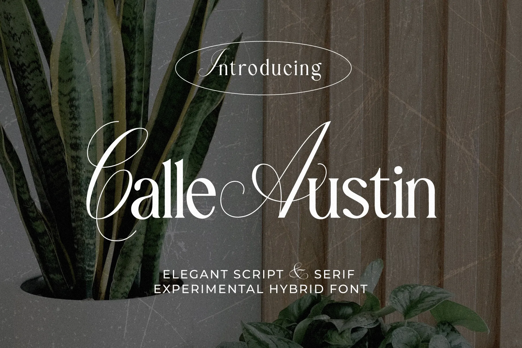 8. Calle Austin